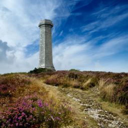 Hardy Monument - Martinstown