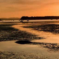 Poole Harbour Sunset