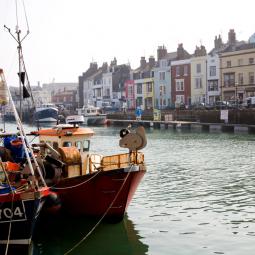 Weymouth Harbour Boats