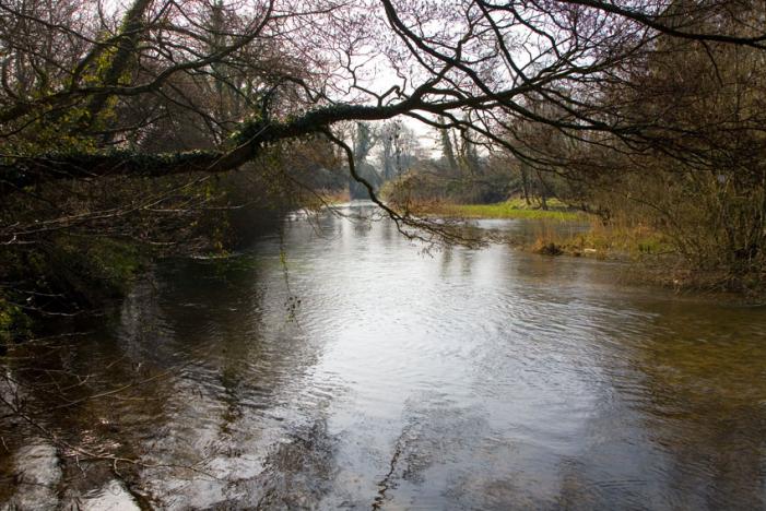 River Frome - Moreton