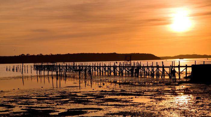 Poole Harbour Jetty Sunset
